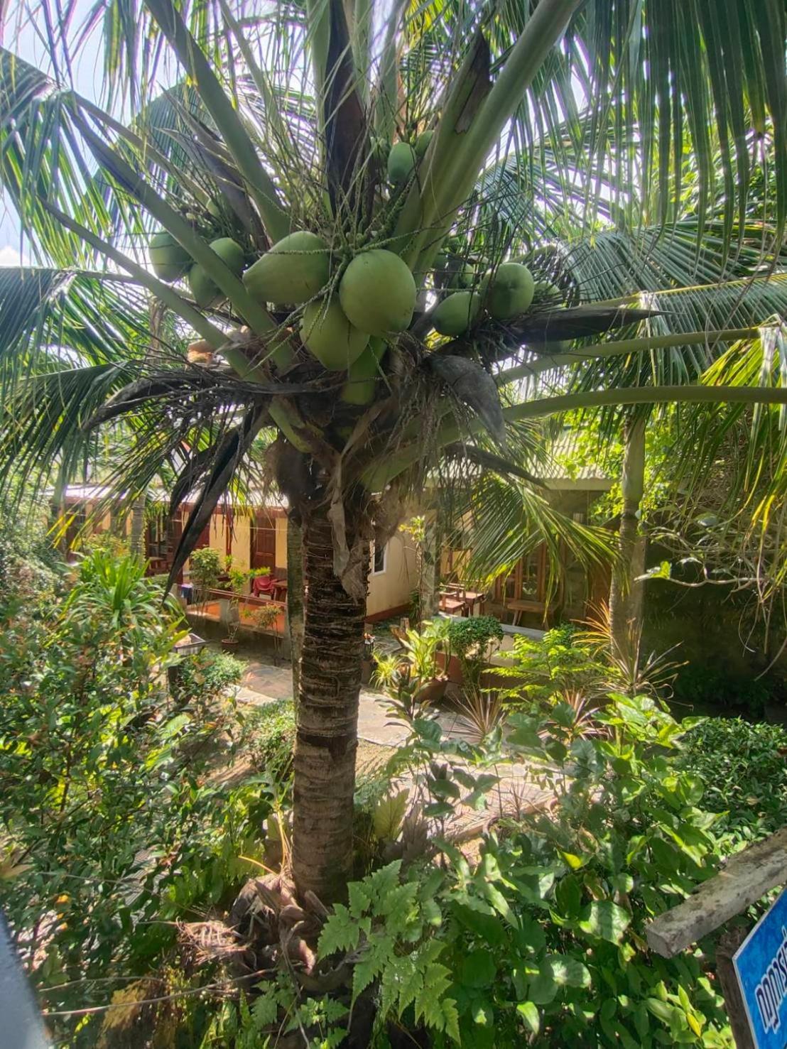 Lanta Riviera Beach Resort Koh Lanta Ngoại thất bức ảnh